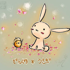 Meet your Posher, Karla